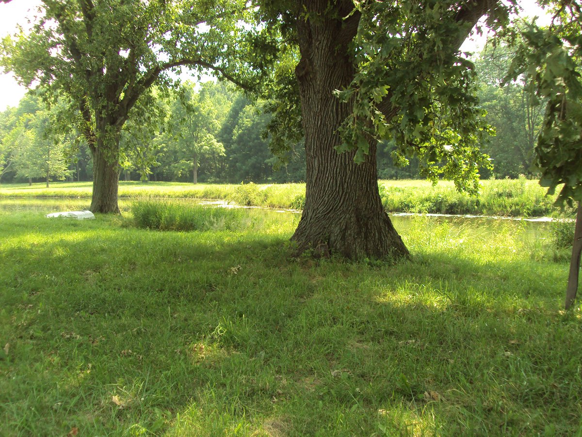 Property photo 17 - 160 Acres Offered in 6 Tracts